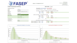 FASEP Report